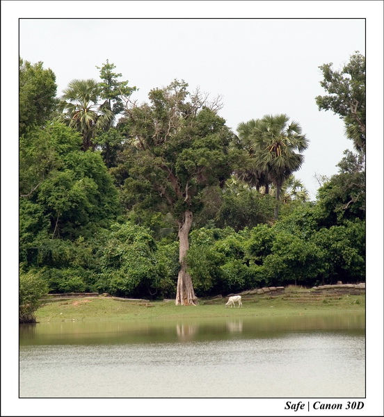 2006 - 07 - Temple angkor - Sras Srang 11